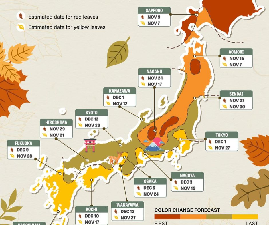 Momiji – A japán őszi levelek ünnepe