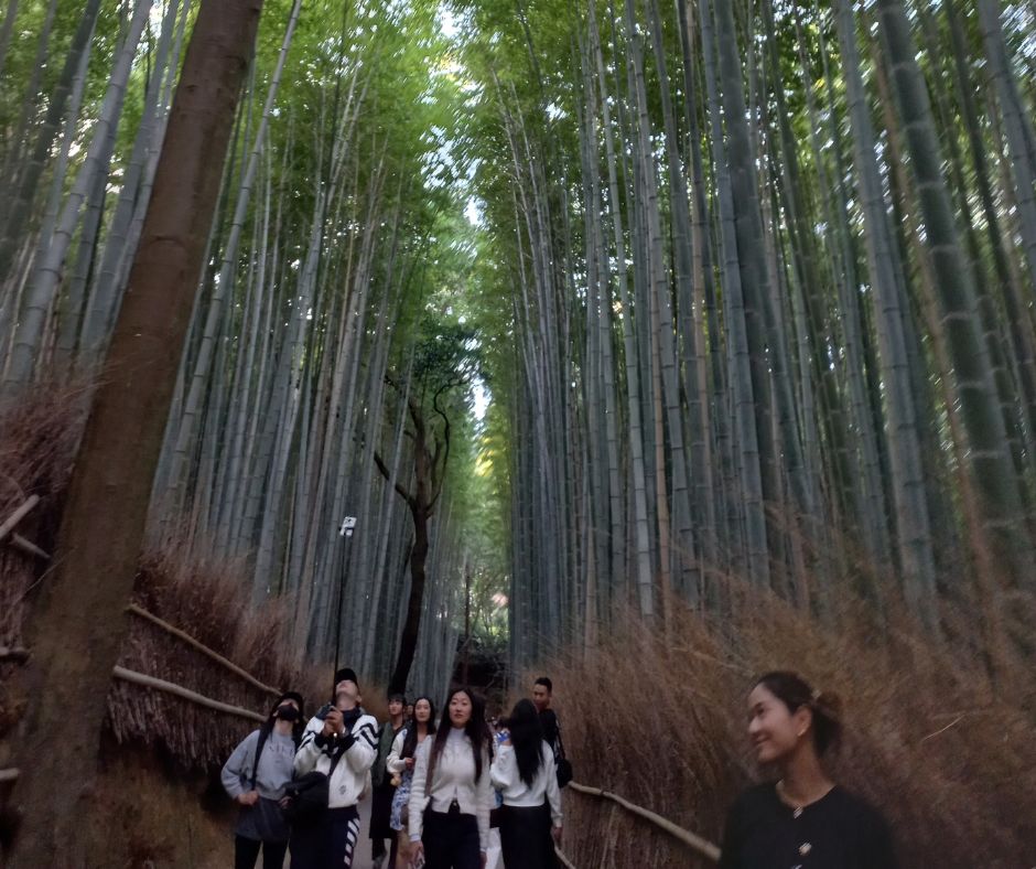 Arashiyama – ahol a bambuszerdő susogása az időt is lelassítja